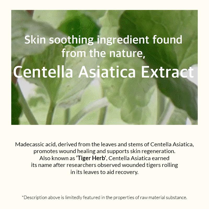 Soondy Centella Asiatica Essence, Calms Redness, Hydrates & Repairs Skin Barrier