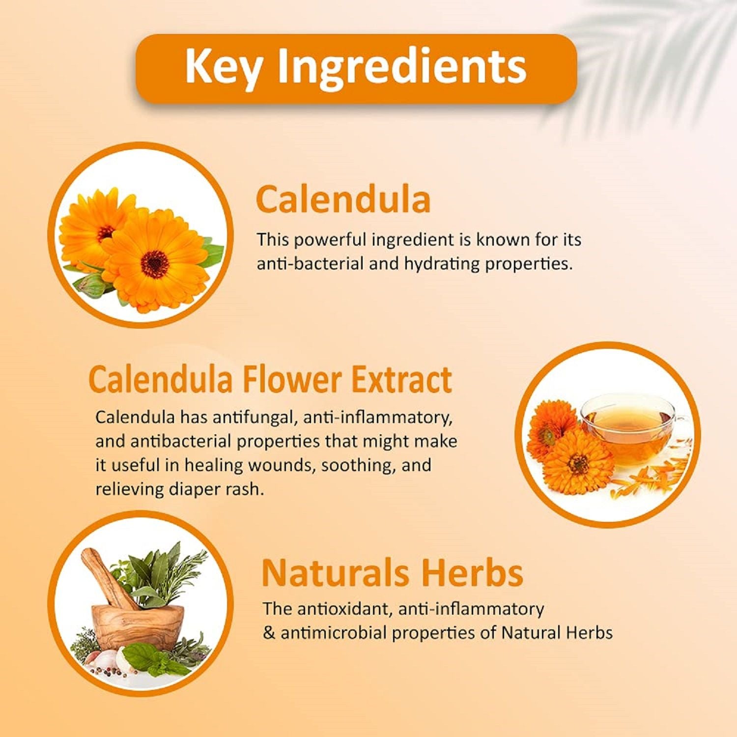Calendula Body Wash Skin Friendly Ph, Gentle Cleansing, Soft Nourshing Body Wash