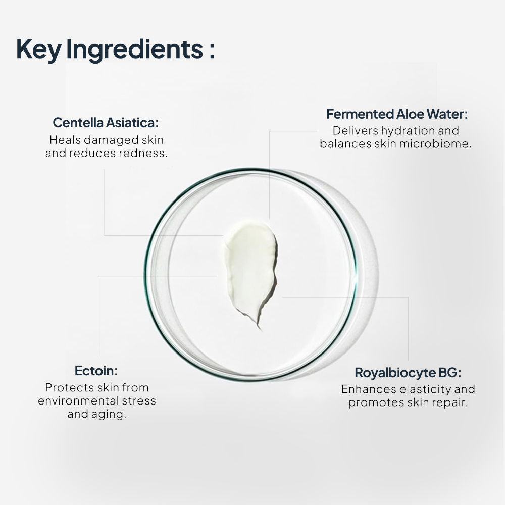 EpiRepair Night Cream with Peptides, Ceramides & Fermented Aloe For All Skin Types