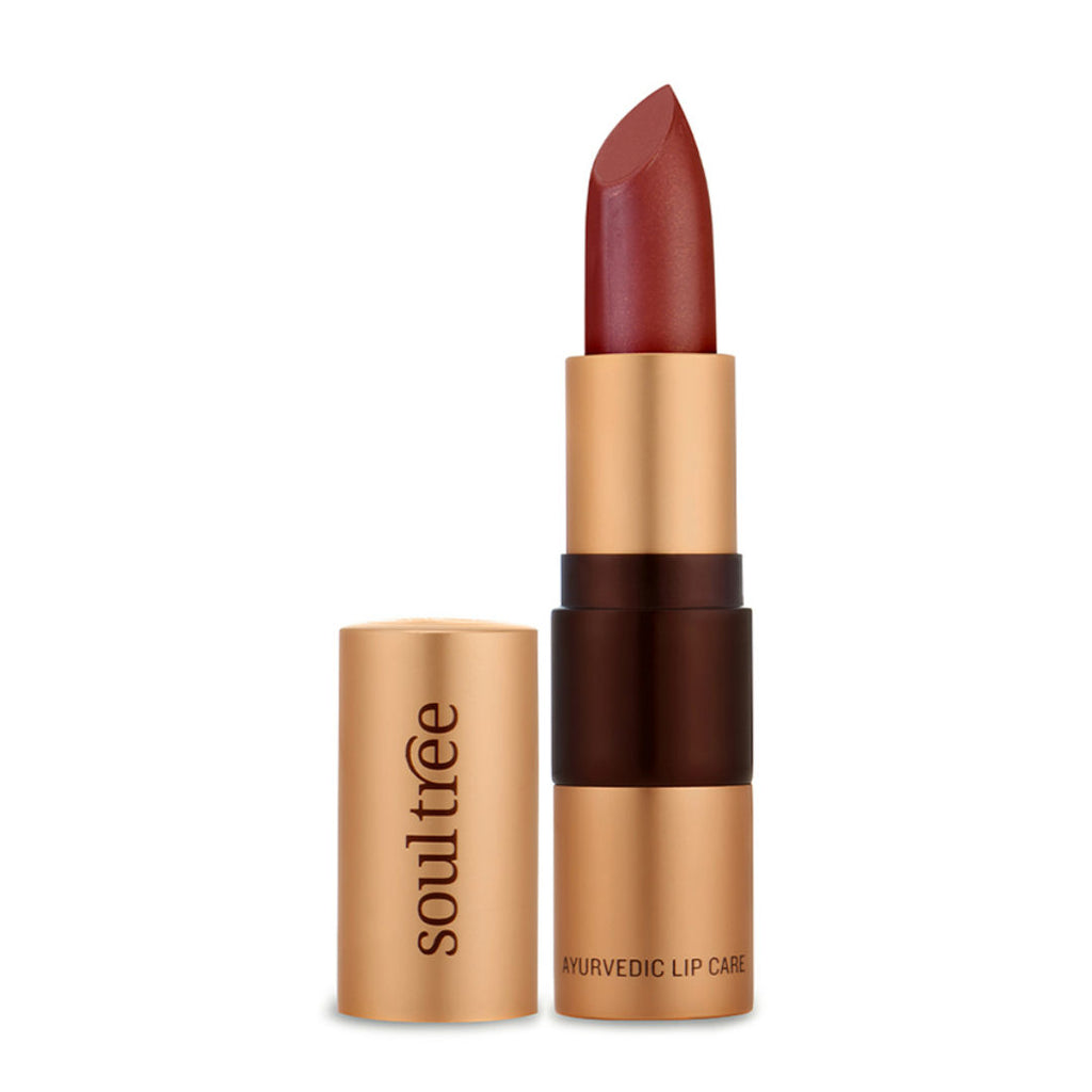 Ayurvedic Lipstick - Cocoa Rich - 906