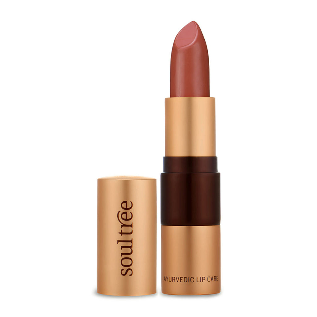 Ayurvedic Lipstick - Peachy Mist 540