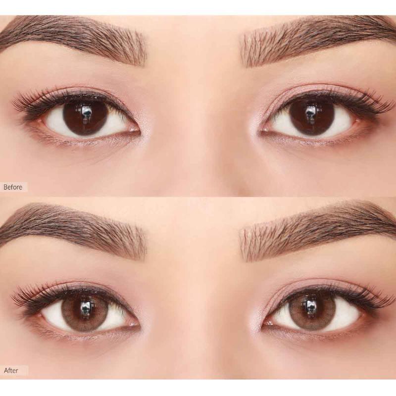 Daily Color Contact Lens - French Shine Hazel (0.00 Plano)
