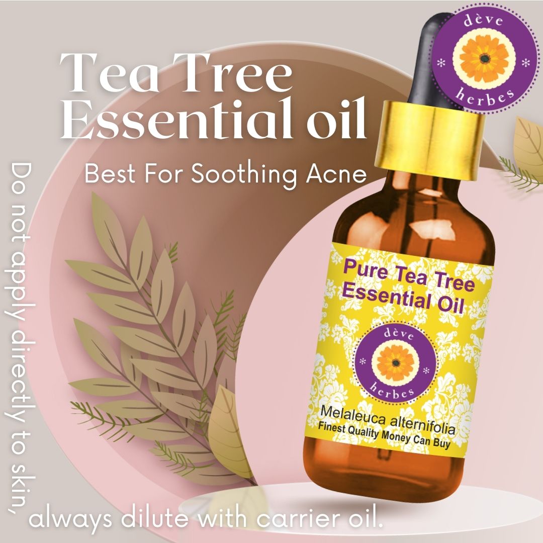 Pure Tea Tree Essential Oil For Dandruff Control, Glowing Skin & Fades Acne Scars
