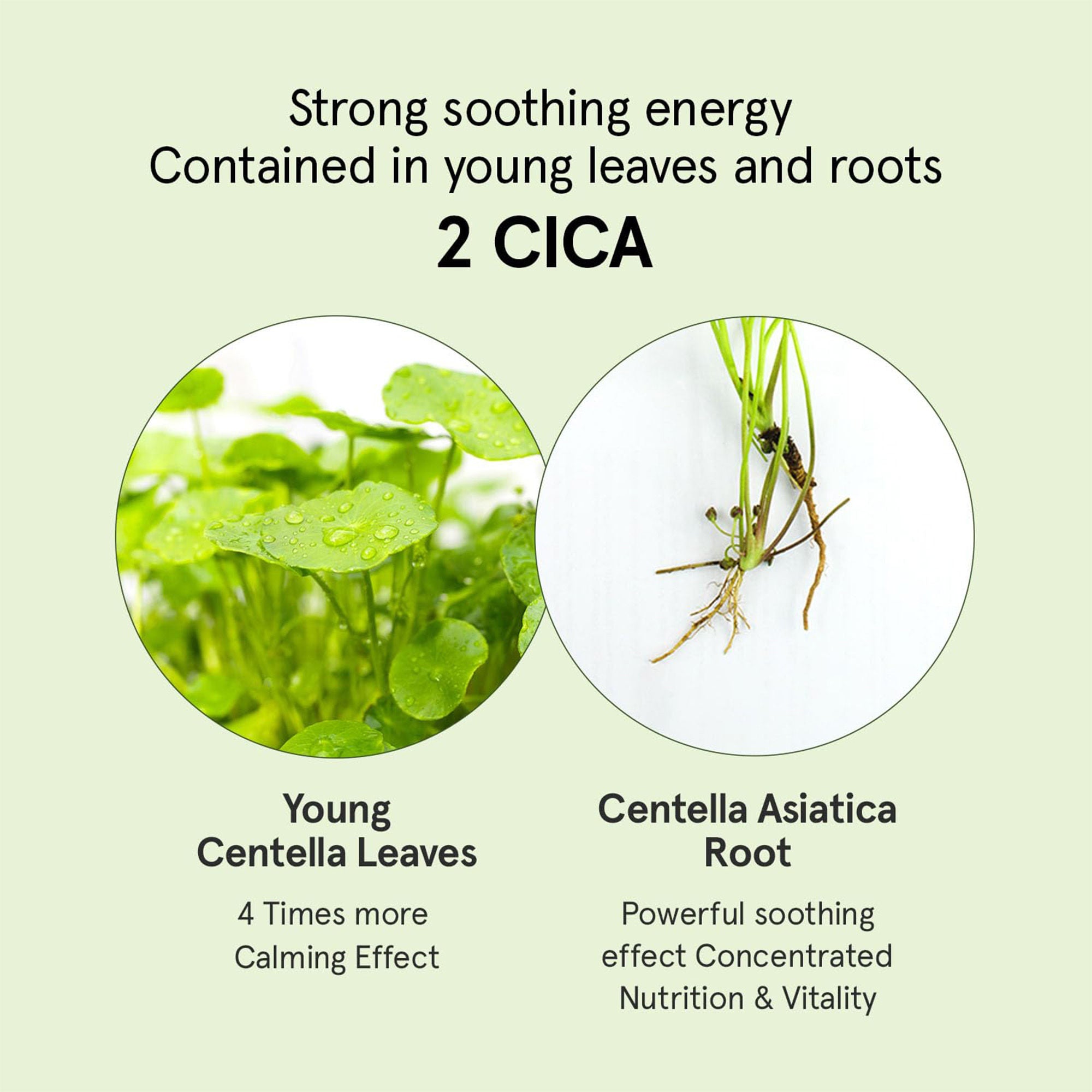 Cica B5 Serum