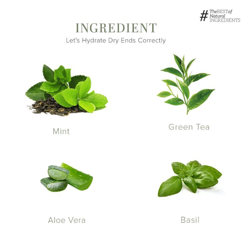 Green Tea & Mint Body Wash Soft & Smooth Skin SLS & Paraben Free