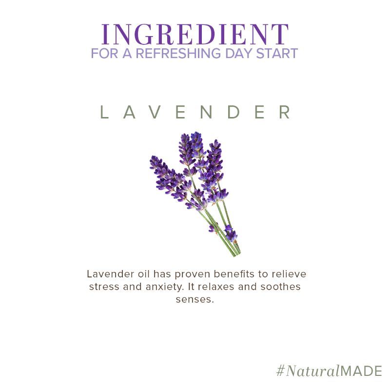 Lavender Fairness Moisturizer Rehydrates Dry Skin SLS & Paraben Free