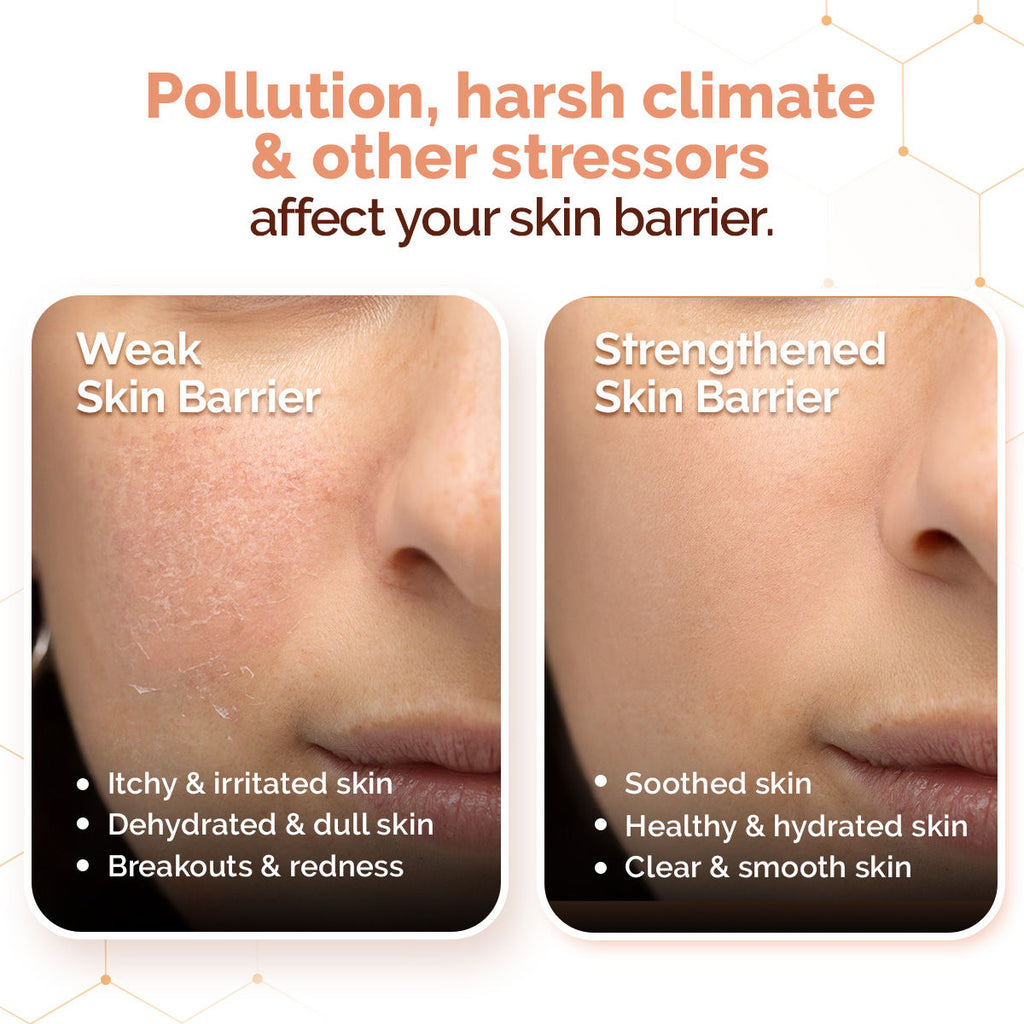 Chia Calming Face Cleanser for a Hydrated Glow