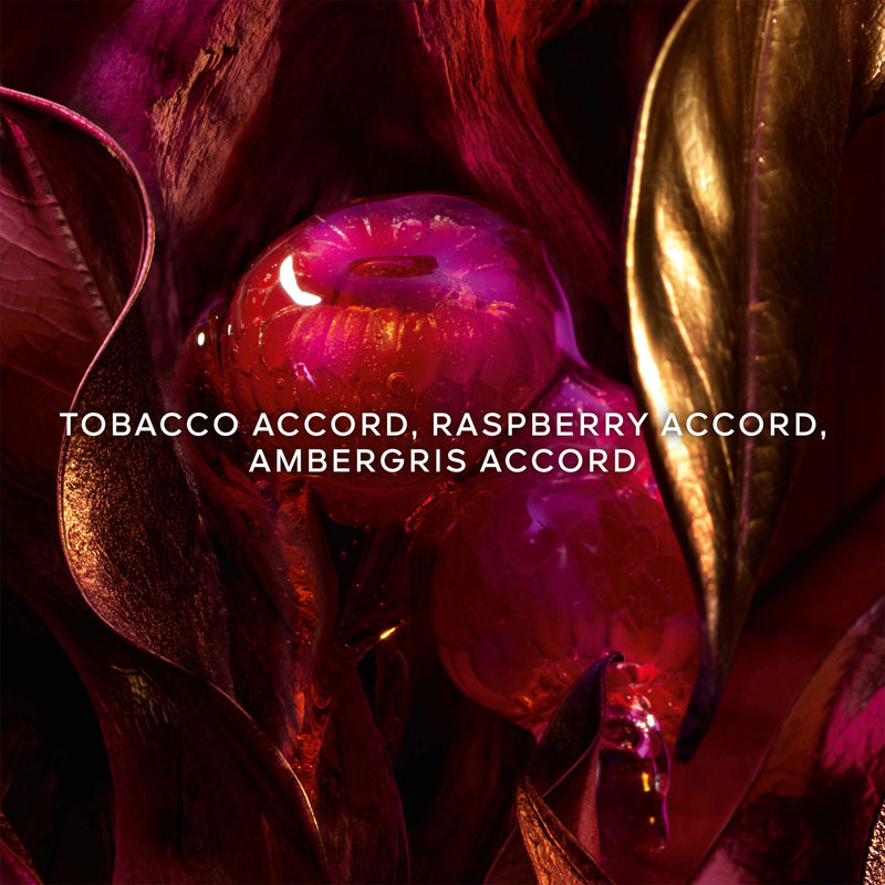 Absolus Allegoria Tabac Sahara Eau De Parfum