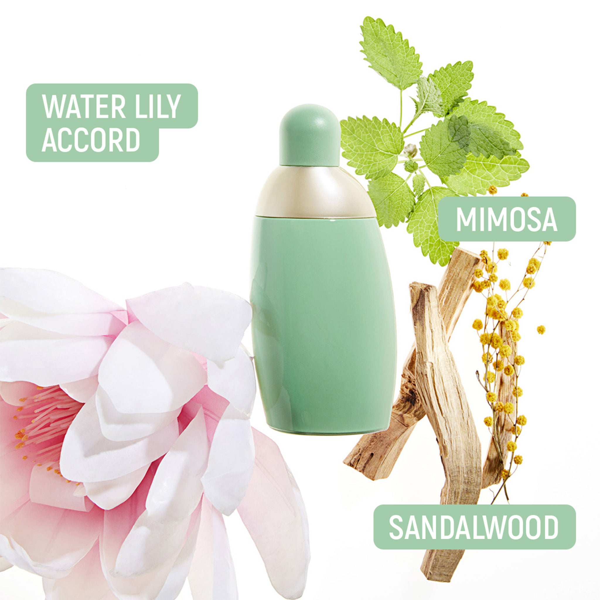Eden Eau De Parfum For Her
