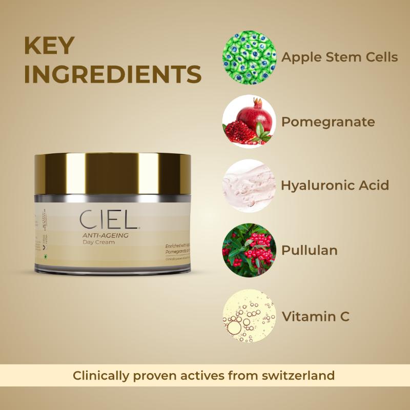 Anti Ageing Day Cream