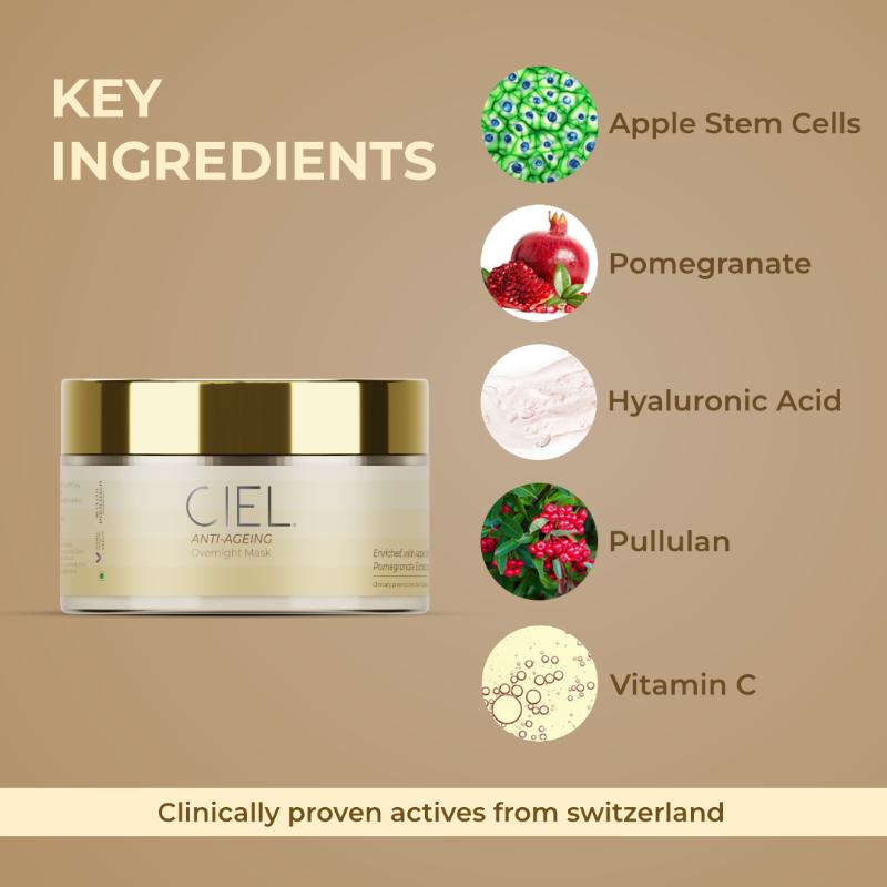 Anti Ageing Overnight Mask