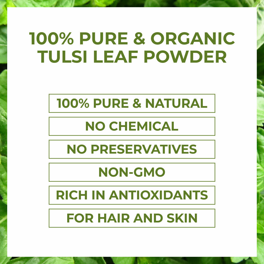 100% Pure Natural & Organic Tulsi (Basil) Leaf Powder
