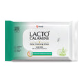 Daily Cleansing Face Wipes, Makeup Remover Wipes with Aloe Vera