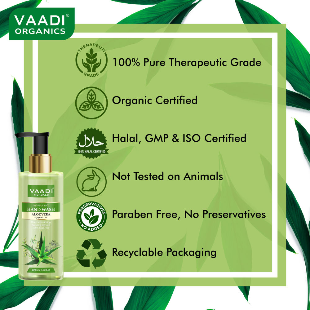 Velvety Soft Aloe Vera & Jojoba Oil Hand Wash