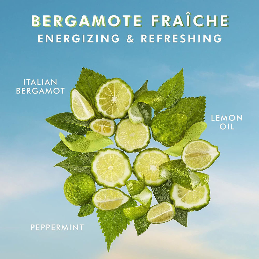 Hand Cream Bergamote Fraiche|Argan Oil, HA & Butters|Refreshing Citrus Hydration Hands