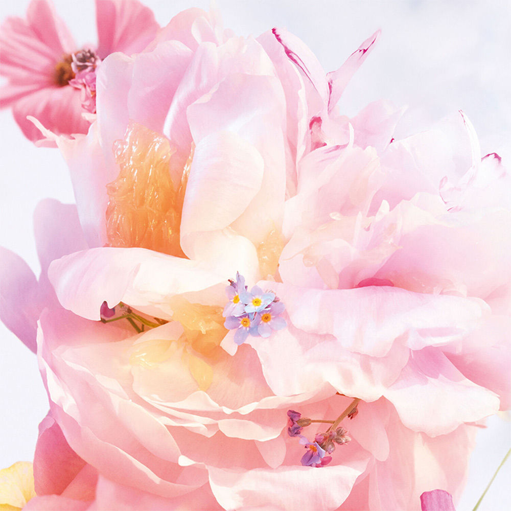 Miss DIOR Blooming Bouquet Eau De Toilette For Her