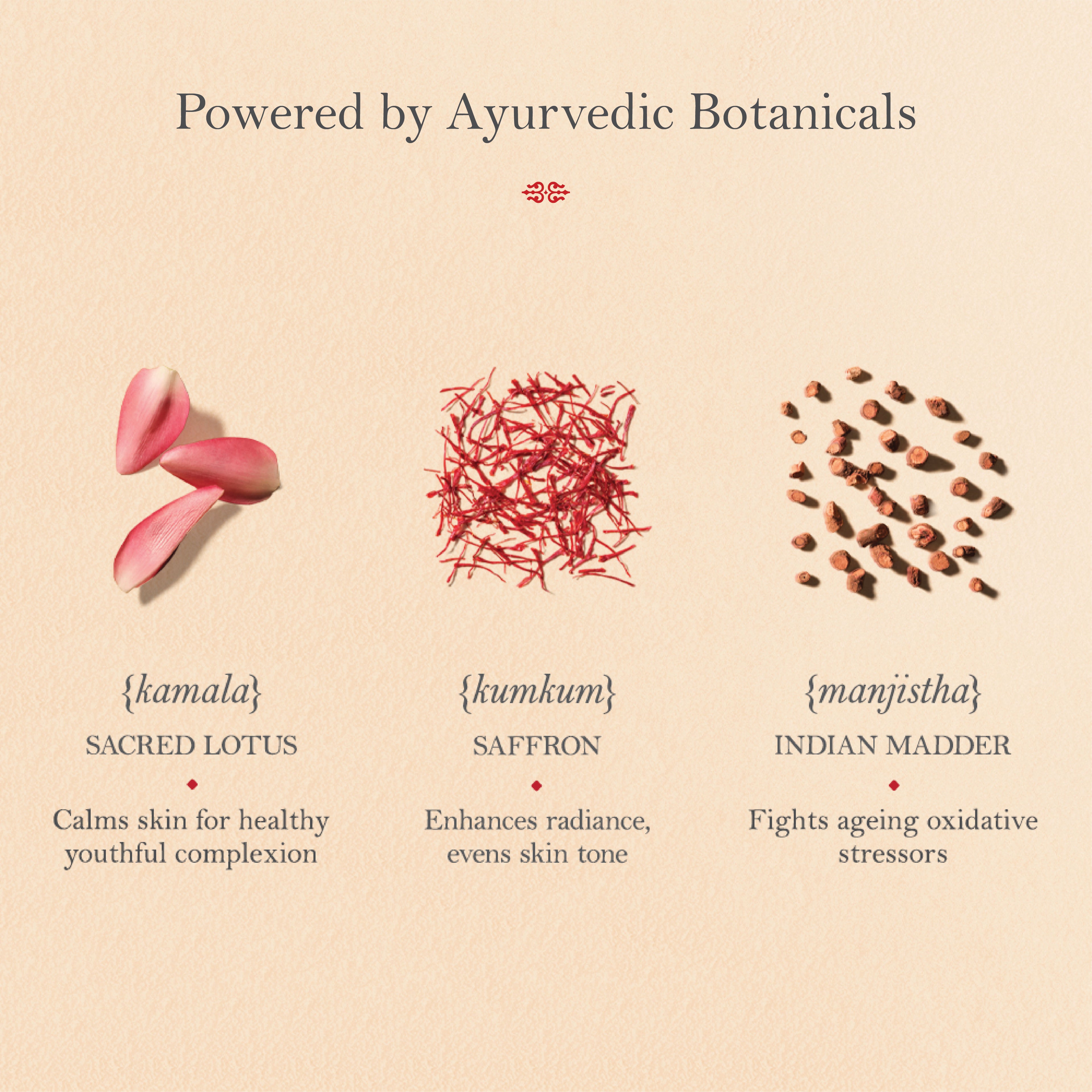 Kumkumadi Thailam Miraculous Beauty Fluid Ayurvedic Night Serum