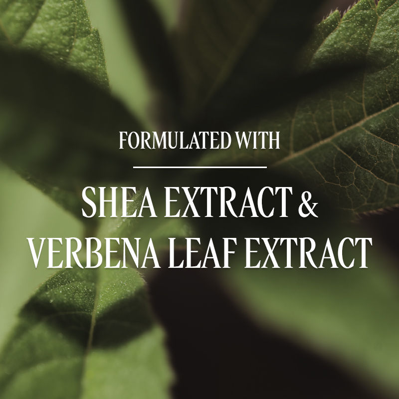 Verbena Liquid Hand Soap