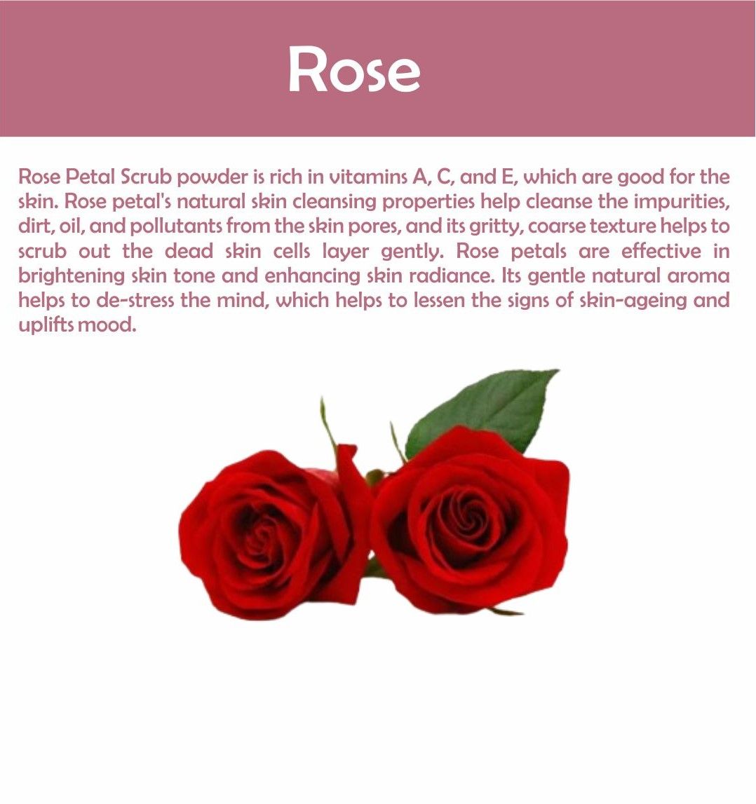 Natural Rose Petal Face & Body Scrub Powder