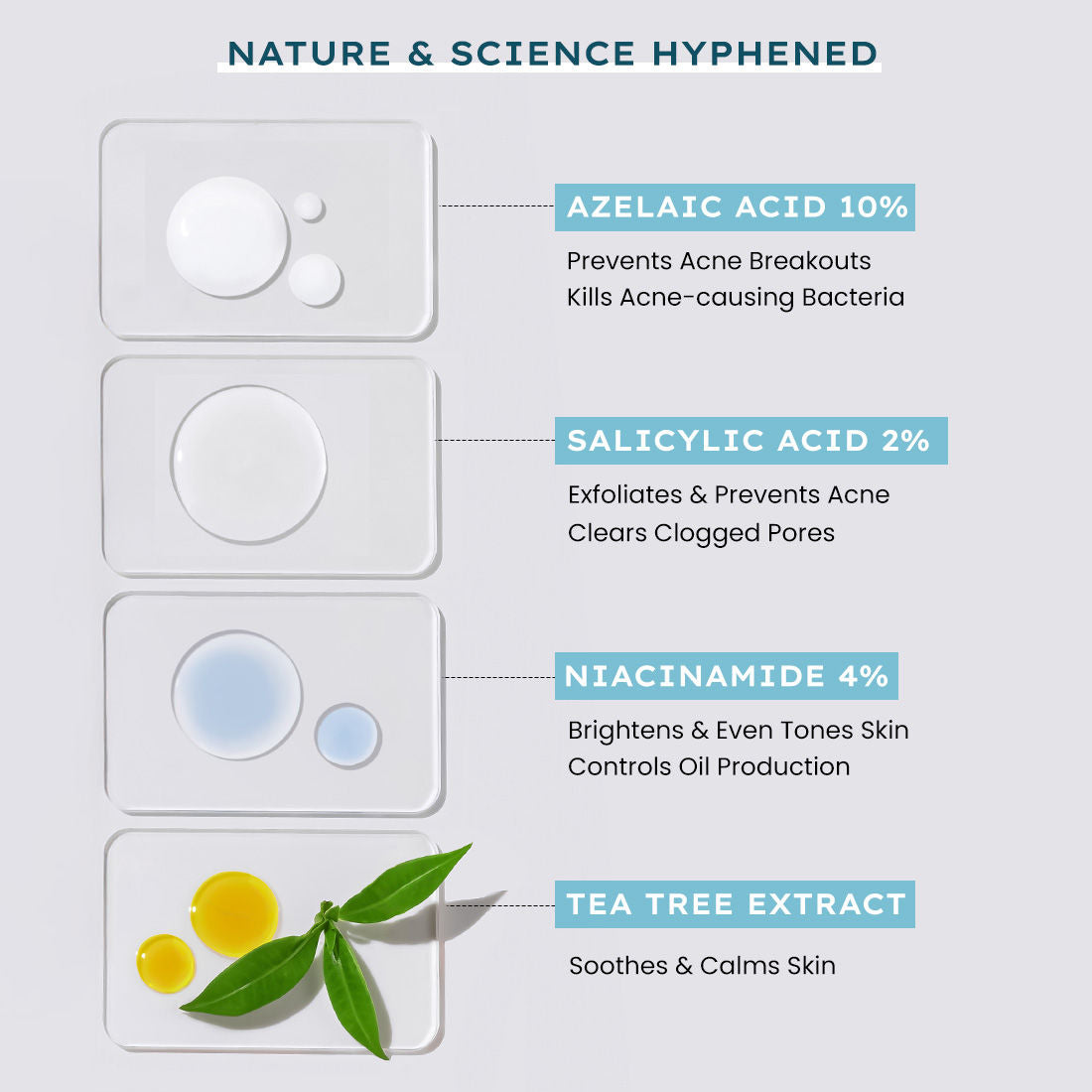 Anti Acne 10% Azelaic Acid 2% Salicylic Acid Face Serum, Tea Tree Extract, Fades Acne Marks