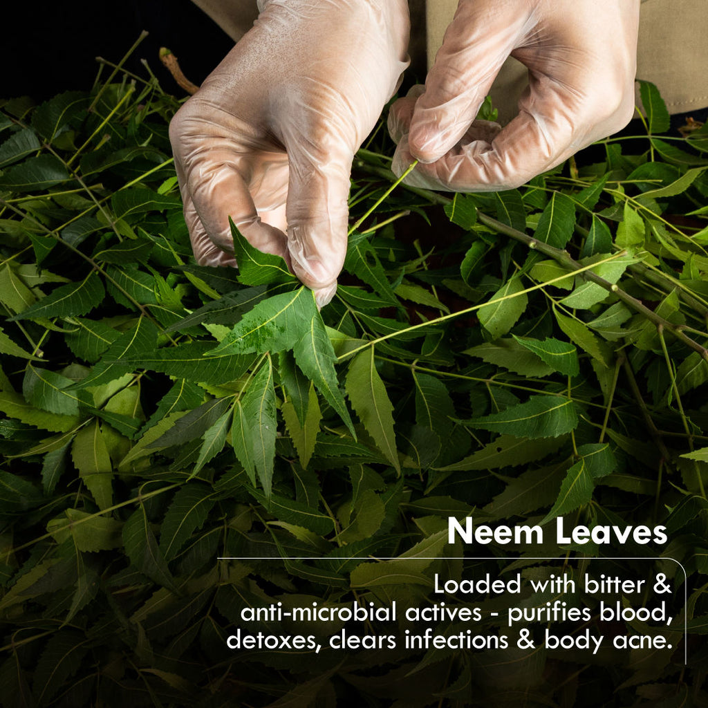 Fresh Brightening Sacred Neem Basil & Soothing Sandalwood Soaps