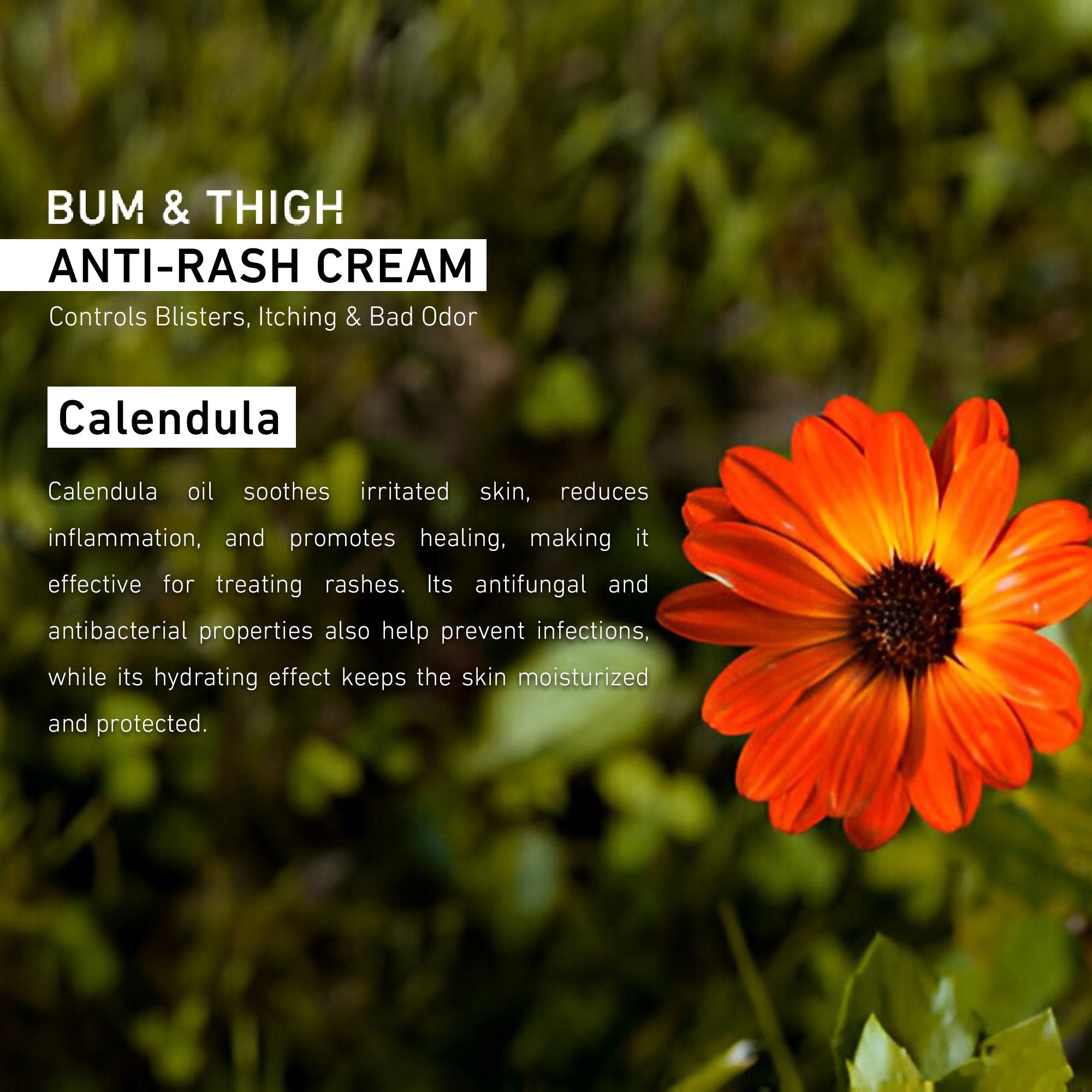 Bum & Thigh Anti-Rash Cream
