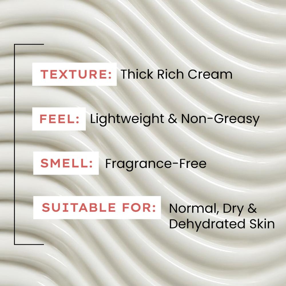 10% Heartleaf & 7% Ceramides-NMF Face Moisturizer| Rich Pillow Cream For Hydration
