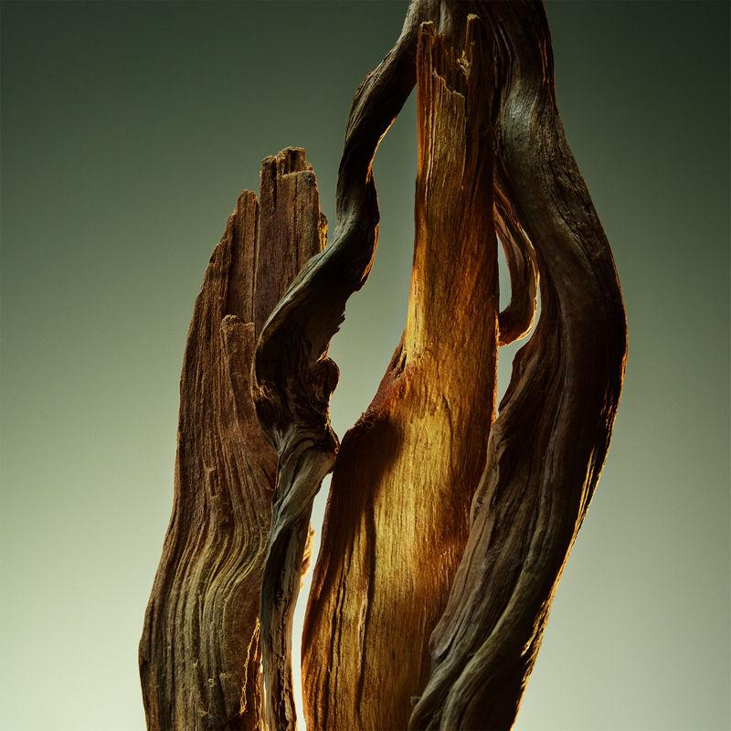 Man Wood Essence Parfum