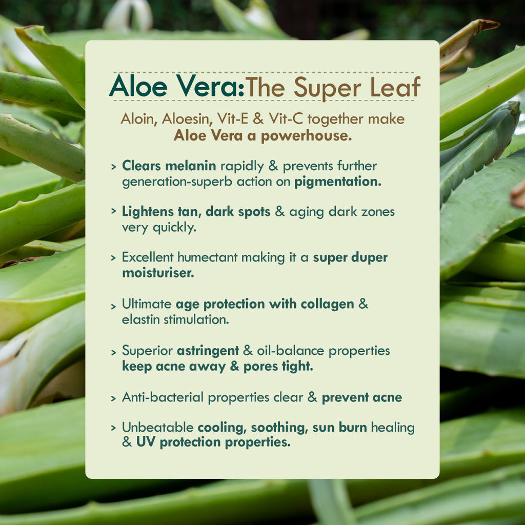 Active Aloe Cactus Hydra Lift Face Gel Moisturiser For Acne Control & Hydration Boost