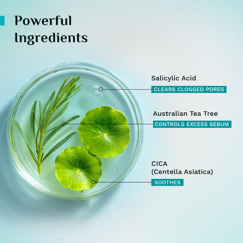 Tea Tree Oil-Balance Gel. Face Wash