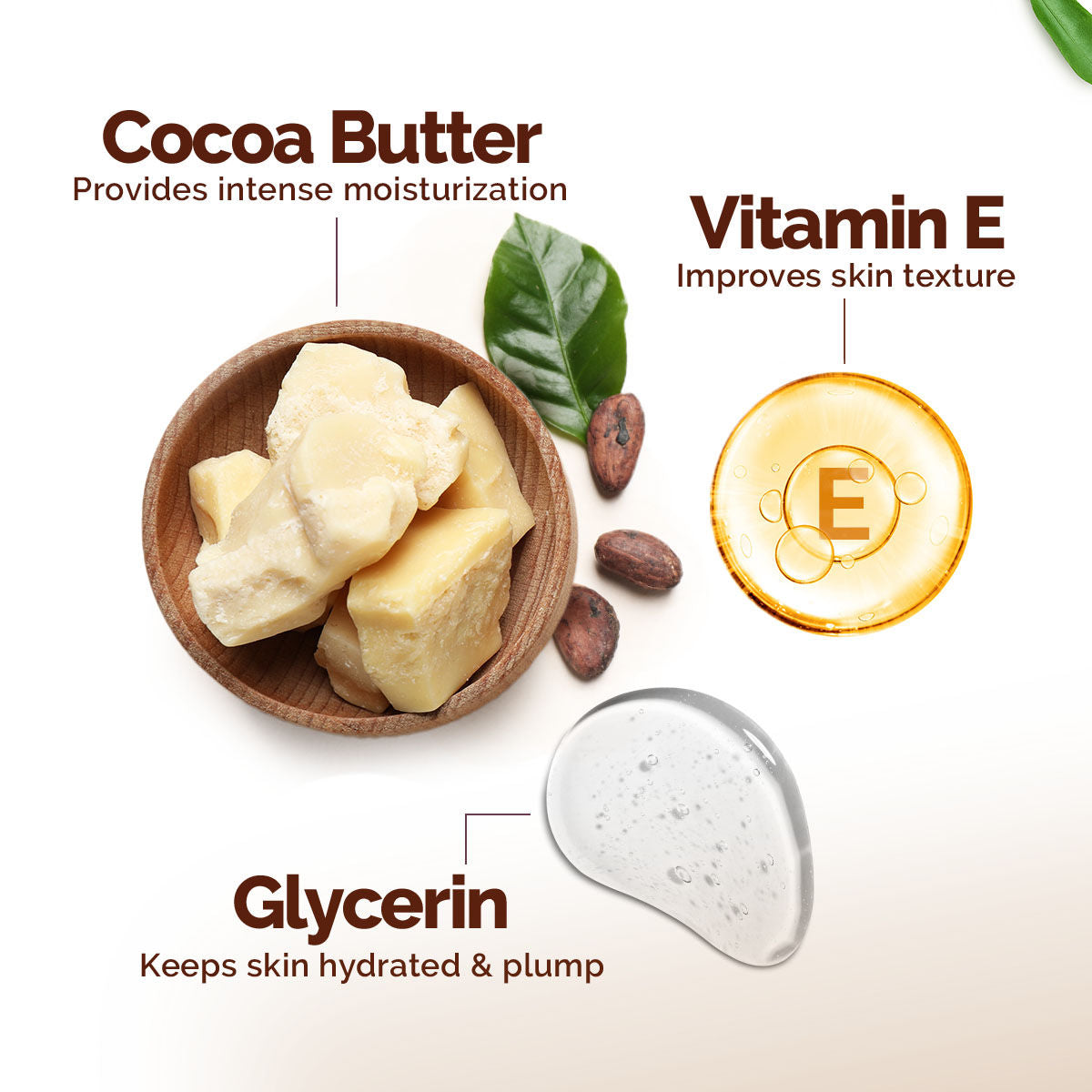 Cocoa Rich Moisturizing Body Lotion