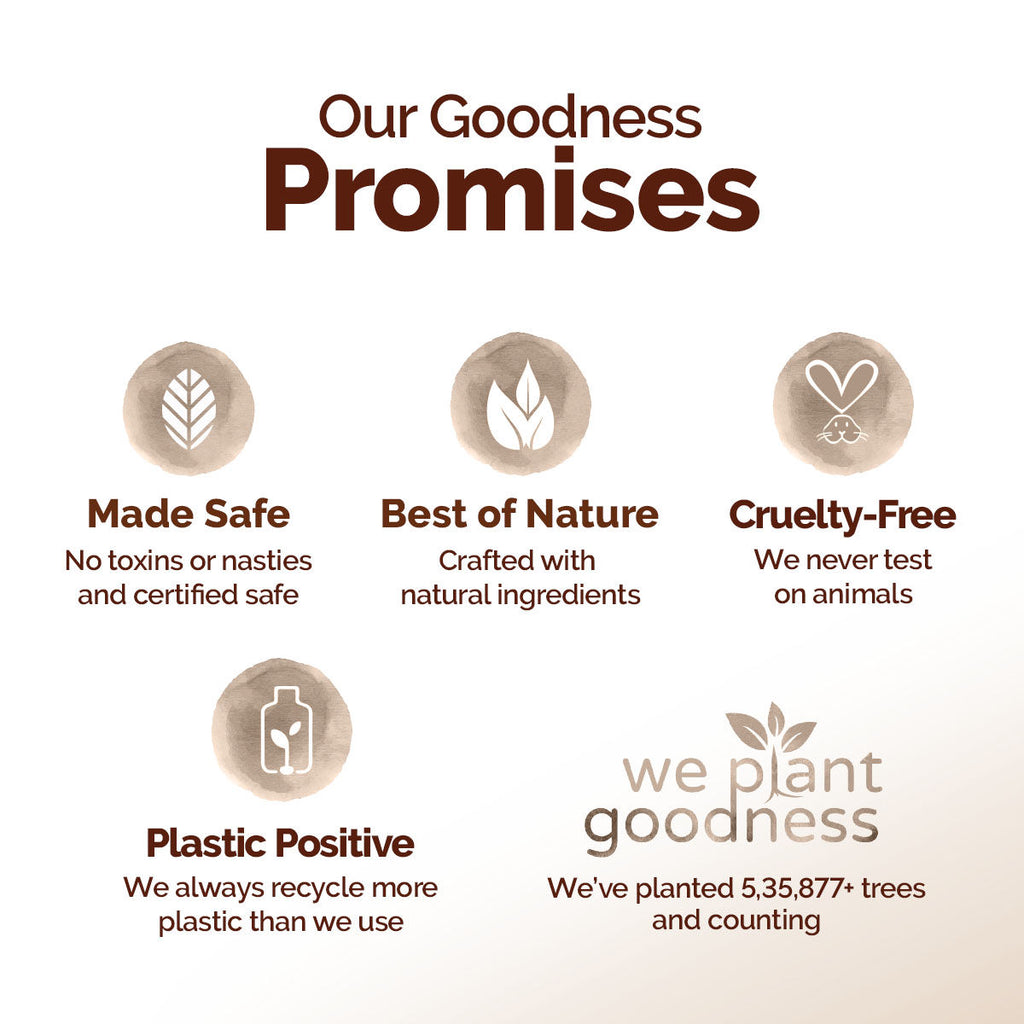 Cocoa Rich Moisturizing Body Lotion