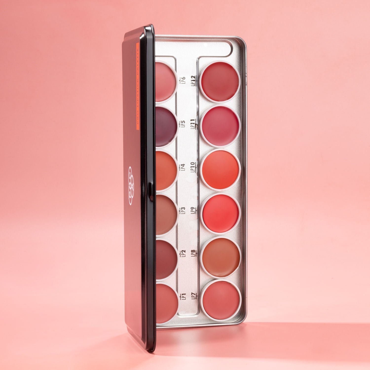 Pro Lipstick Palette X12