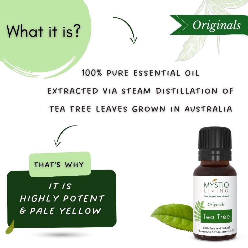 Tea Tree Essential Oil Pure Organic, For Acne, Face, Skin, Hair, Pimples & Dandruff