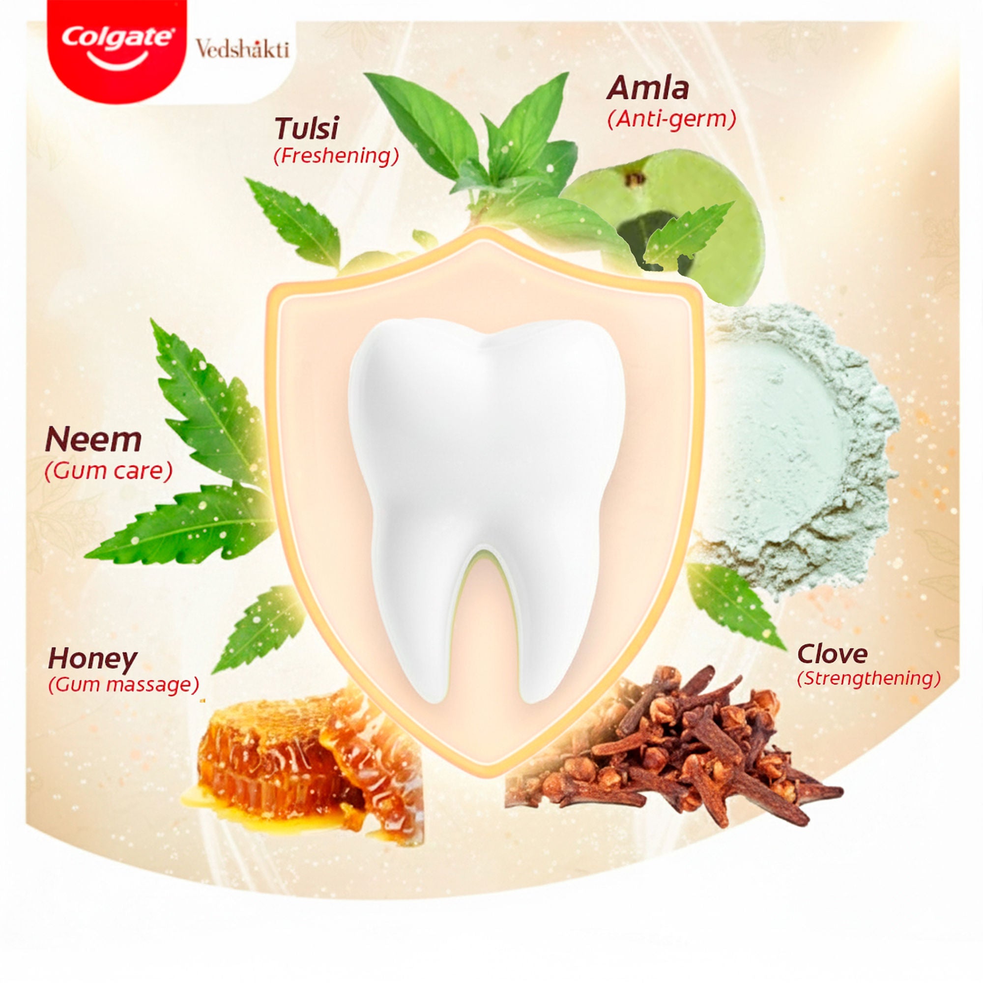 Vedshakti Toothpaste For Whole Mouth Health