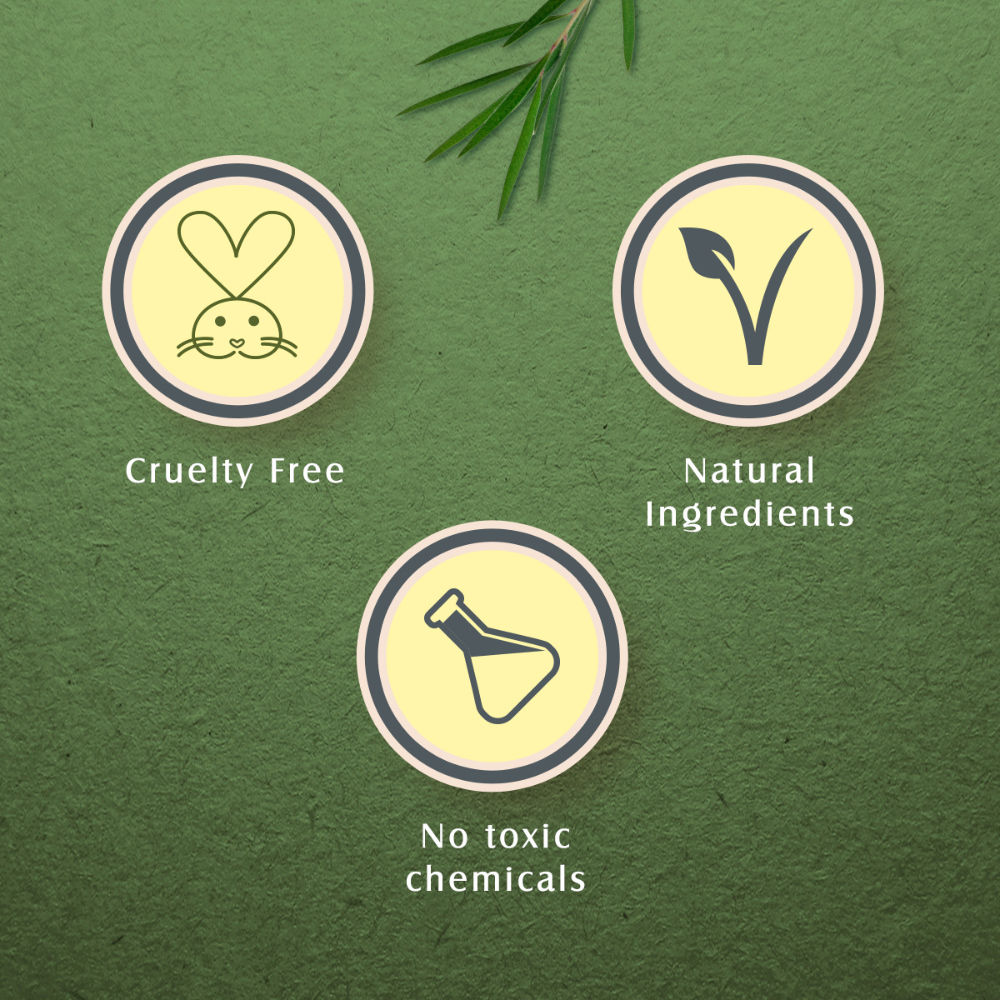 Teatreewash Face Wash With TeaTree Oil & Cinnamon And Helps Control Pimples & Acne