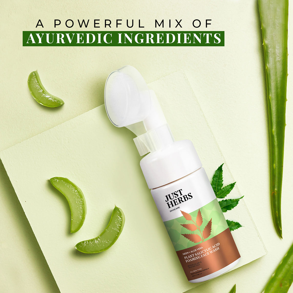 Neem And Aloe Vera Plant Salicylic Acid Foaming Face Wash