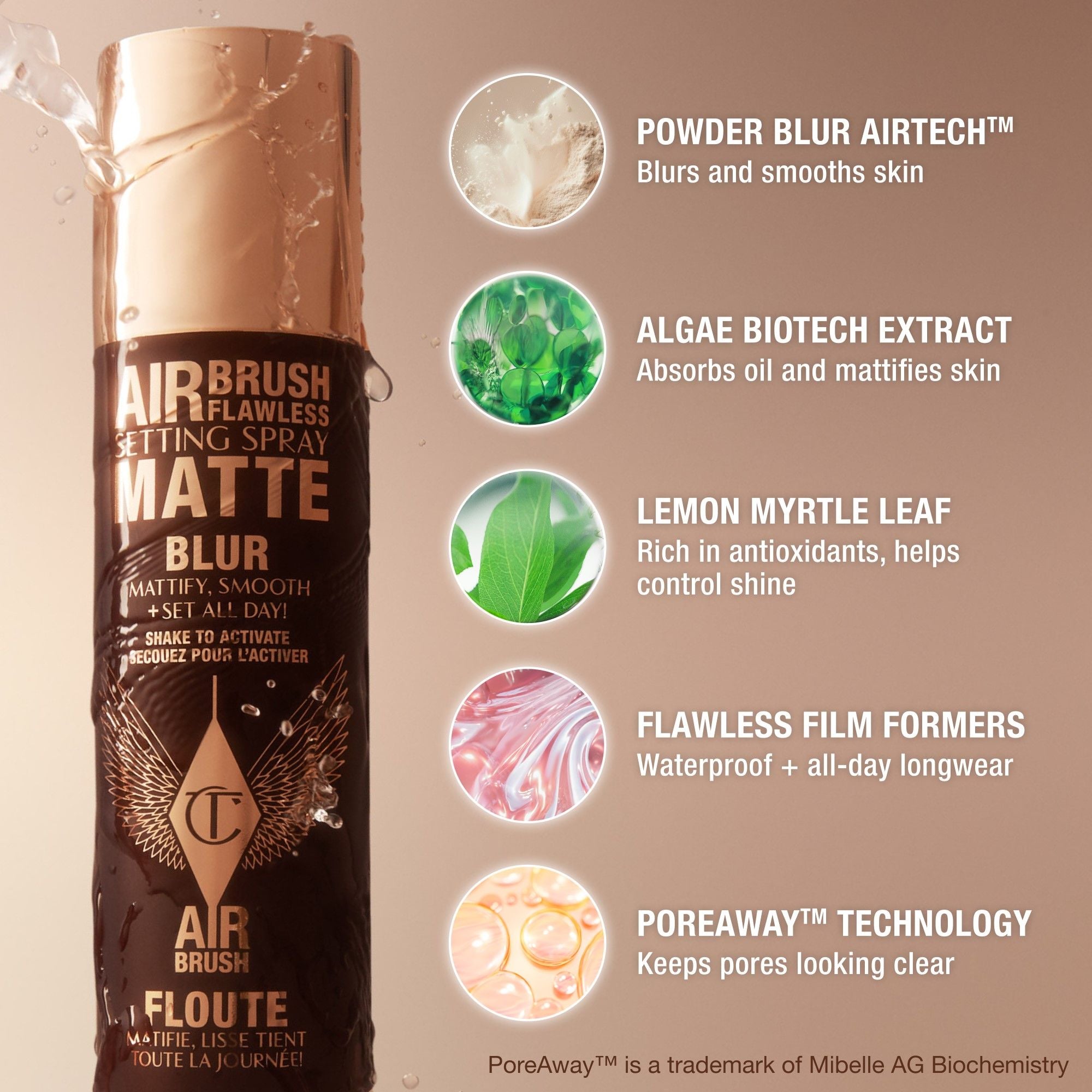 Airbrush Matte Setting Spray