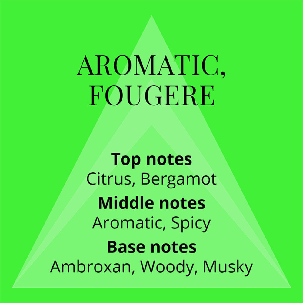 Homme Volt Eau De Parfum For Him