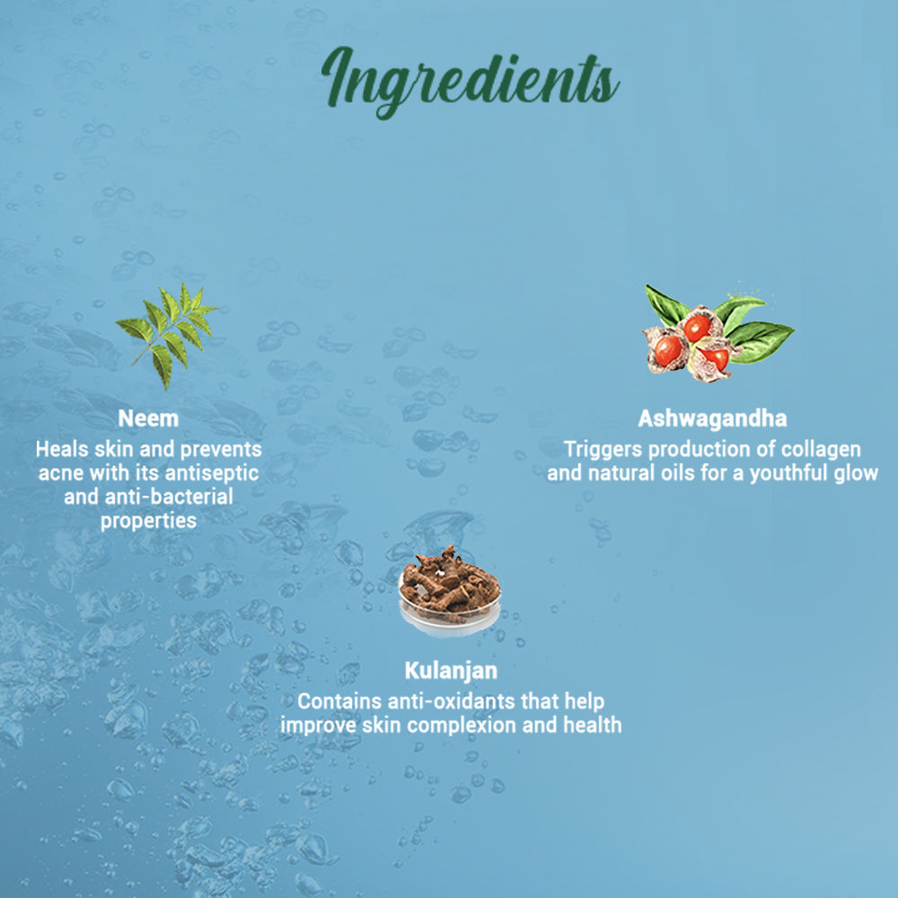 Bio Neem Purifying Face Wash Prevents Pimples For All Skin Types