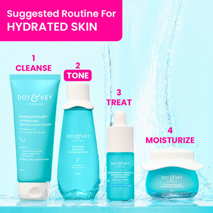 Blueberry Hydrate Barrier Repair Toner, With 5 Ceramides & Rice Water, For All Skin Types