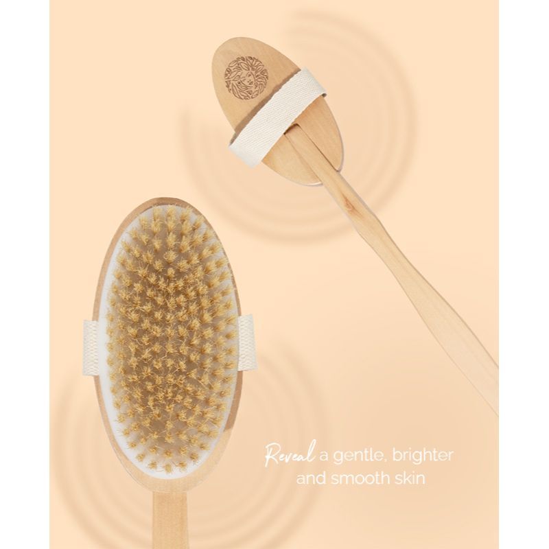 Dry Brush With 14 Inch Removable Wood Handle