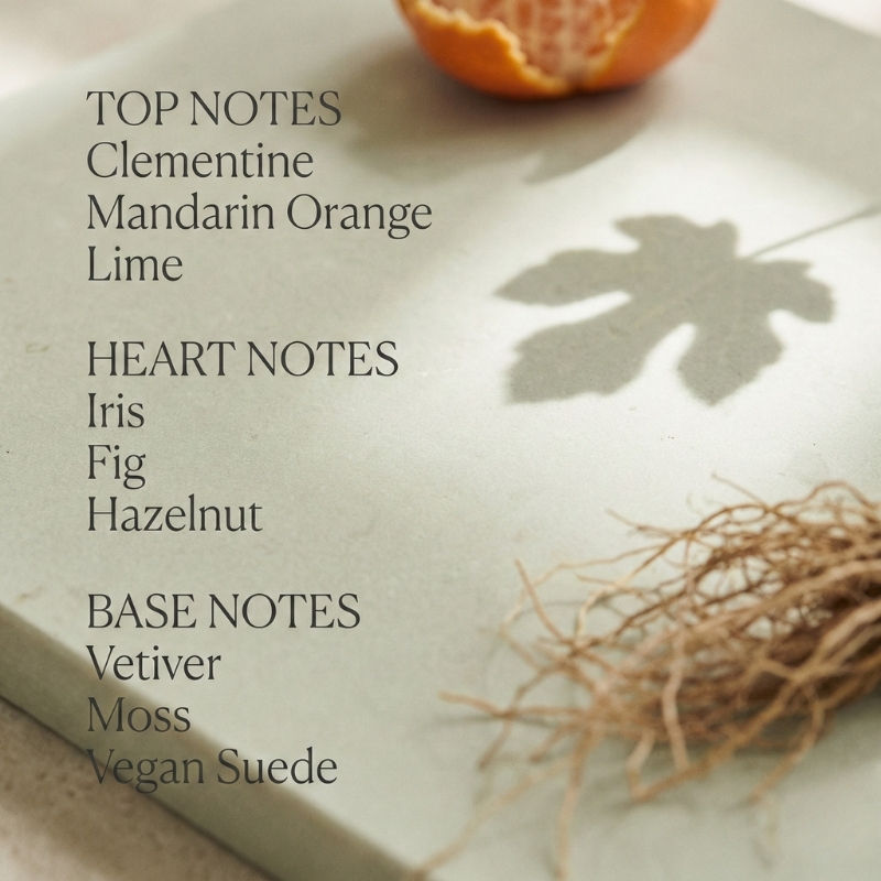 Perfume Clementine & Vetiver Eau De Parfum For Women & Men
