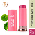 Born to Blush Stick