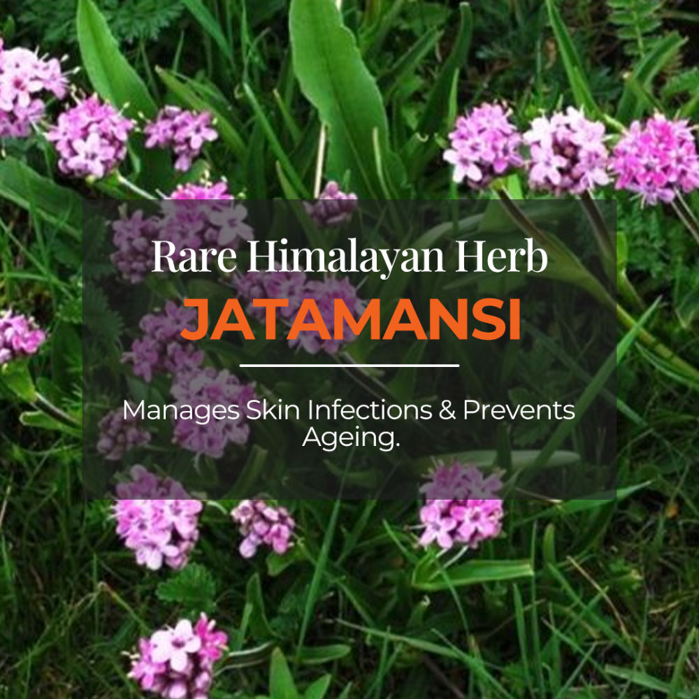 Tarang Alive Invigorating Gel Body Cleanser