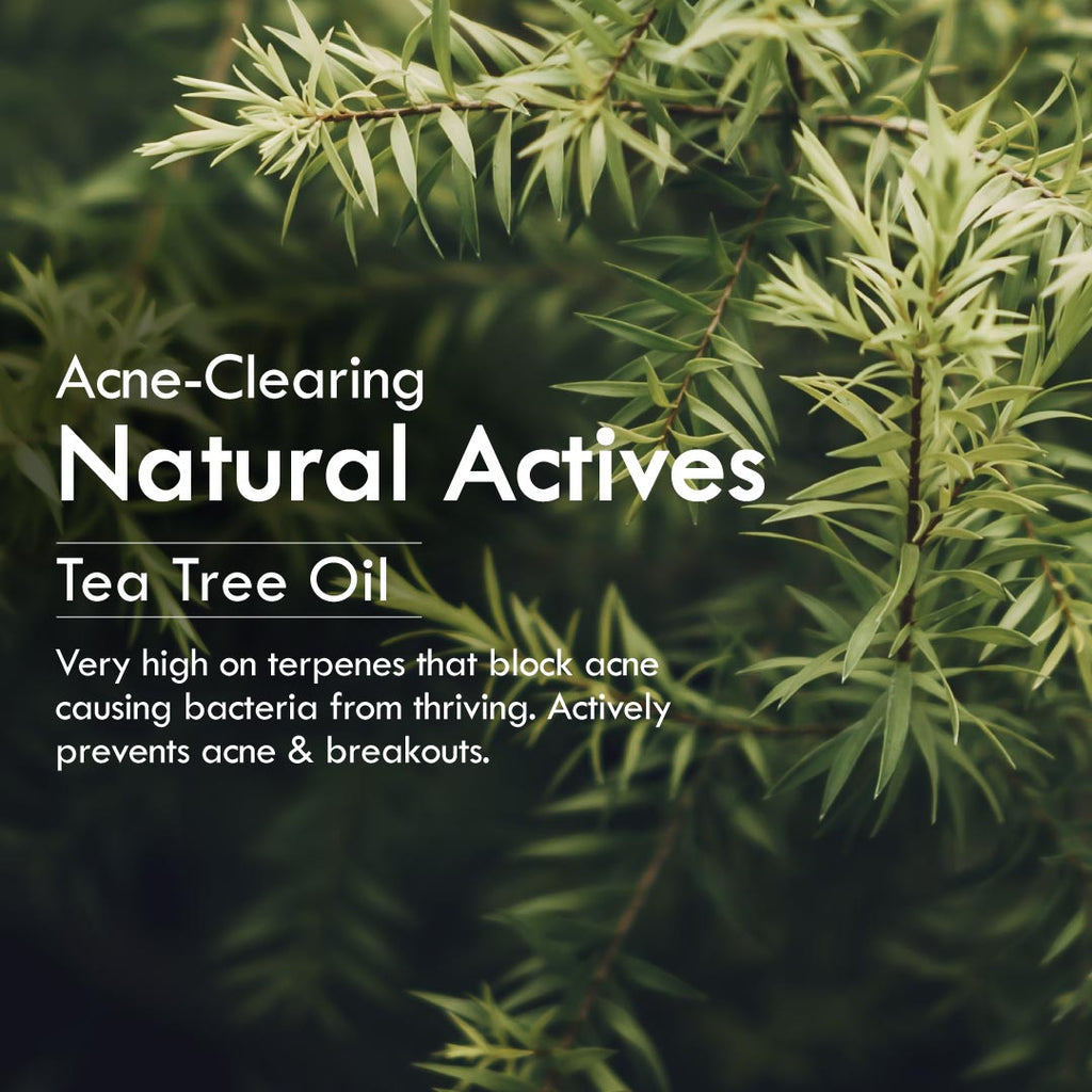 Bitter Neem Face Wash (Cream) for Oily Skin, Acne and Pimple Care with Neem and Tea Tree