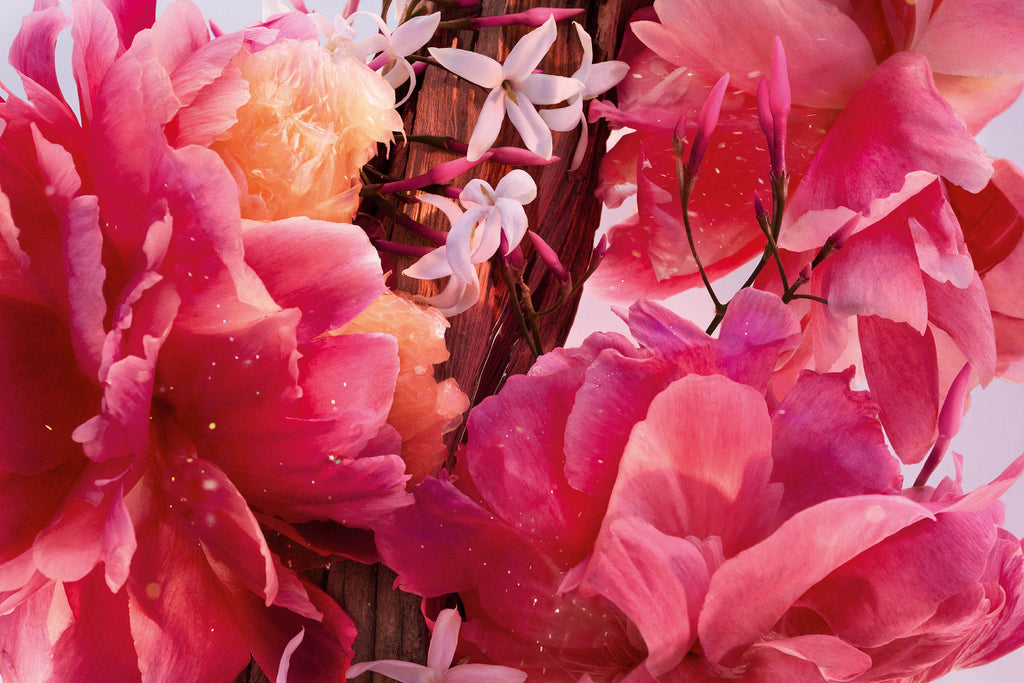 Miss Dior Parfum