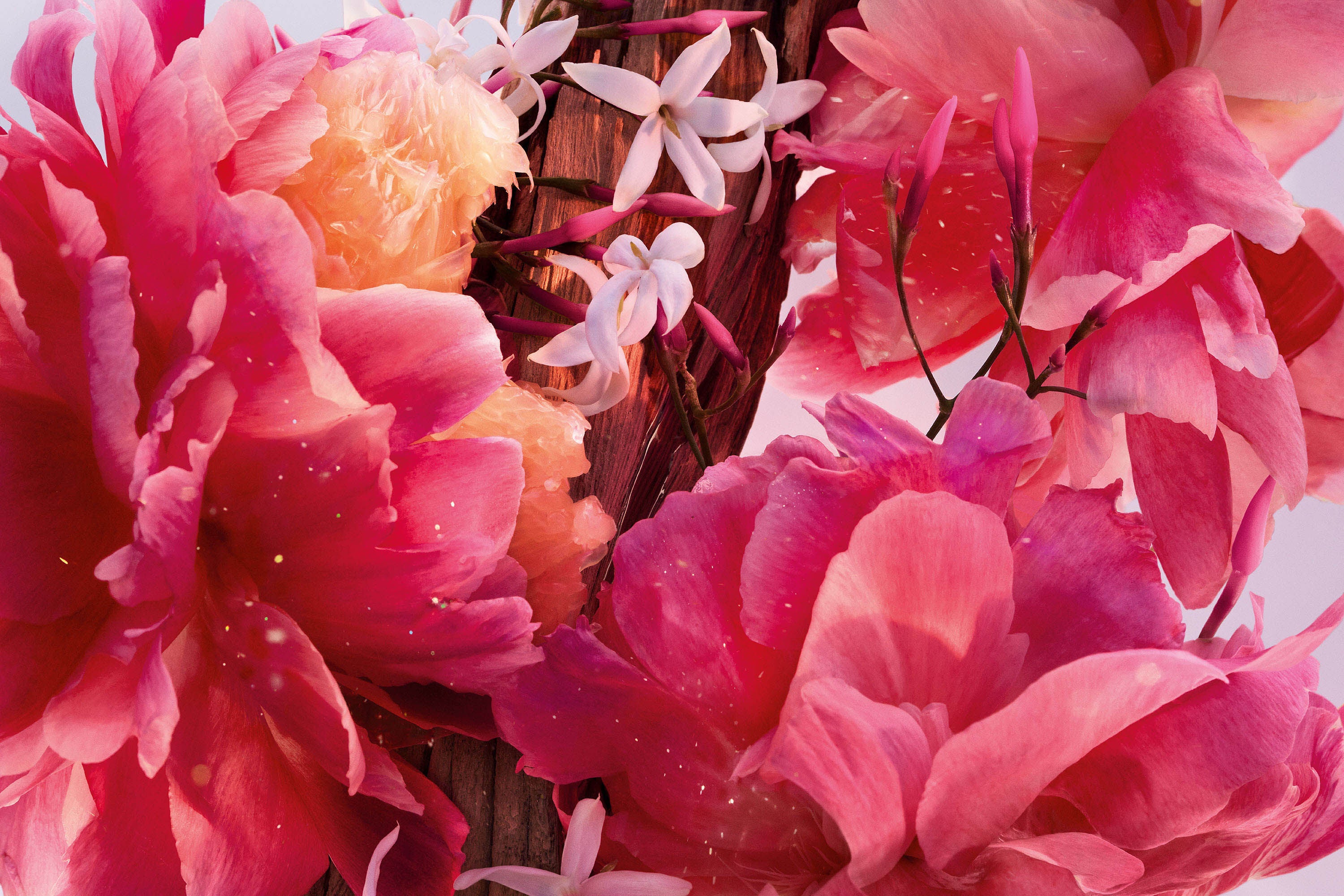 Miss Dior Parfum