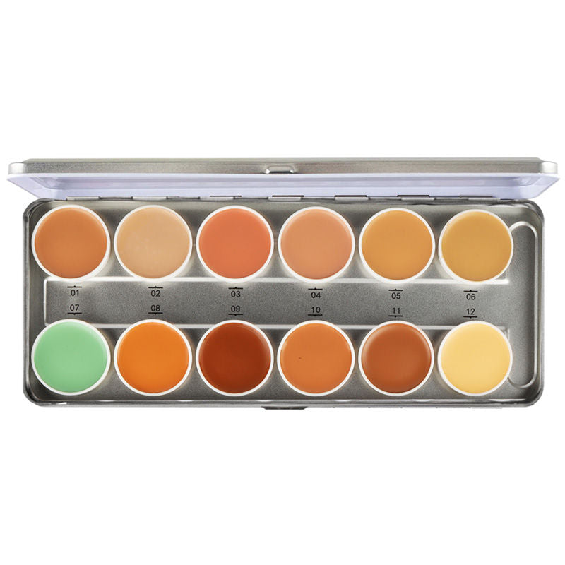 Pro Artist Concealer Palette