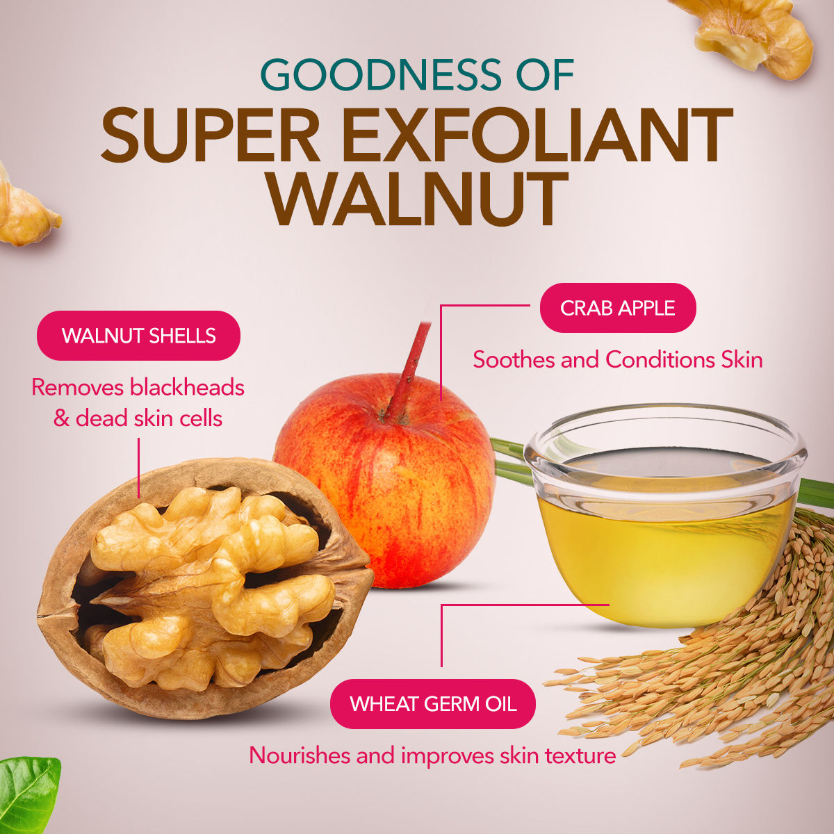 Gentle Exfoliating Walnut Scrub